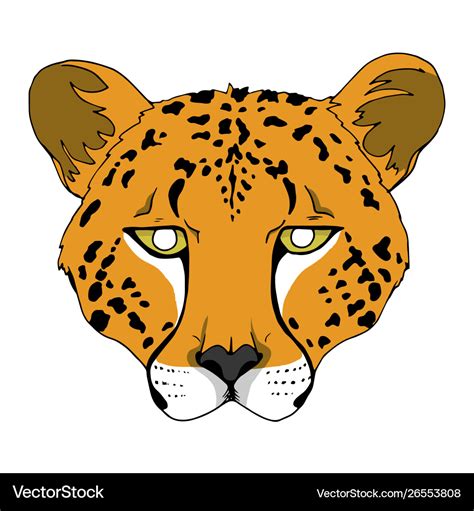 Cheetah mask Royalty Free Vector Image - VectorStock