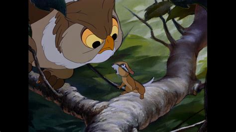 Friend Owl Disney Wiki Fandom Disney Wiki Disney Animation Owl