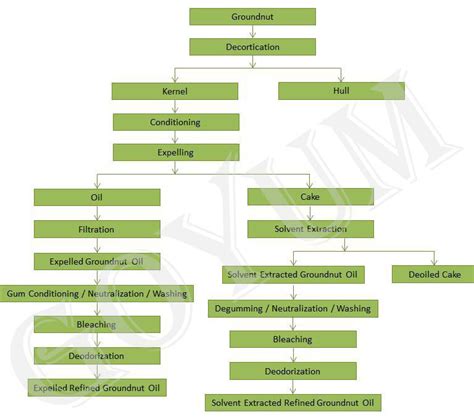 Groundnut Oil Manufacturing Process With Flowchart Goyum