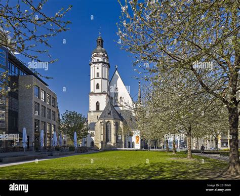 St Thomas Church In Leipzig Saxony Germany Stock Photo Alamy