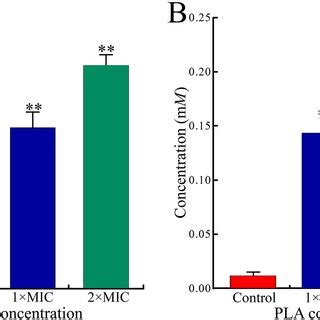 Changes In The Activity Of A Superoxide Dismutase SOD And B