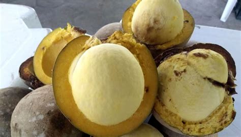 Frutas Do Pará Nomes - Conheça 20 Frutas Típicas do Pará - Fotos e Características!