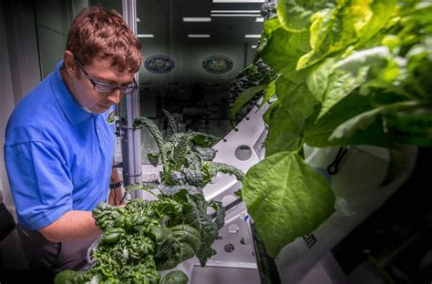 Farming In Space: The Future Of Indoor Farming Is Unfolding Aboard The ...