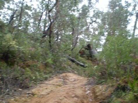 The Deep Pass Trail Walking Track