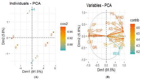 Principal Component Analysis Pca Showing Score Plots A And Loading