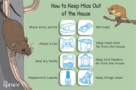 How To Keep Mice Out Of The House