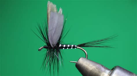 The Black Gnat Fly Tying Tutorial Youtube