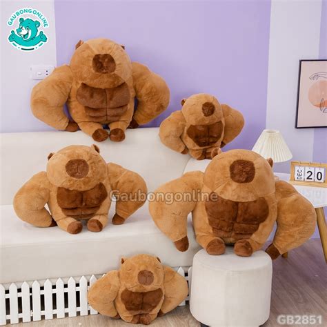 Chuột Capybara Lực Sĩ 6 Múi Đa Dạng Kích Thước Gấu Bông Online