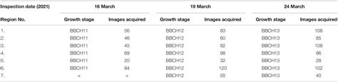 Frontiers Machine Learning Approaches For Rice Seedling Growth Stages