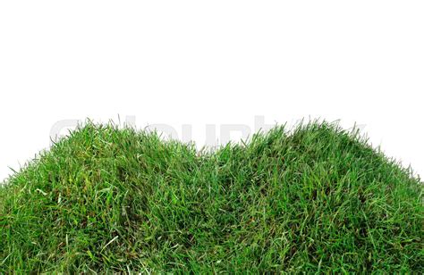 Simple Grassy Hill Cutout Stock Image Colourbox