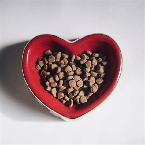 Purina purchased 12 pieces of original content tailored to their brand