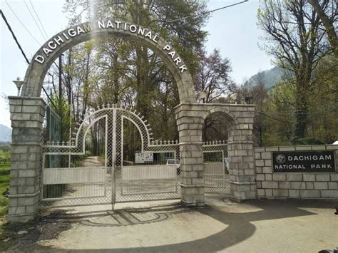 Best Time To Visit Dachigam National Park Srinagar In 2025