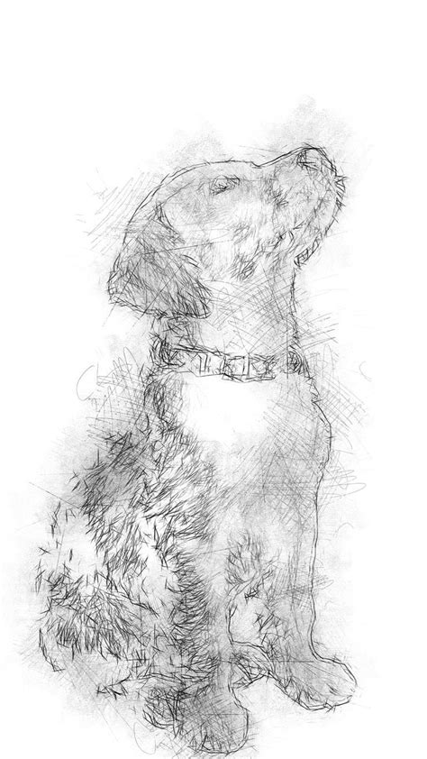 Cute Puppy Pencil Sketch