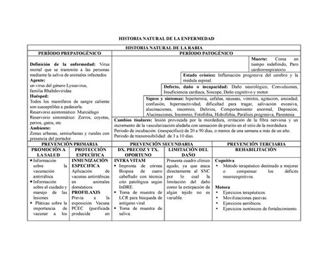 Hne Rabia Historia Natural De La Enfermedad Historia Natural De La