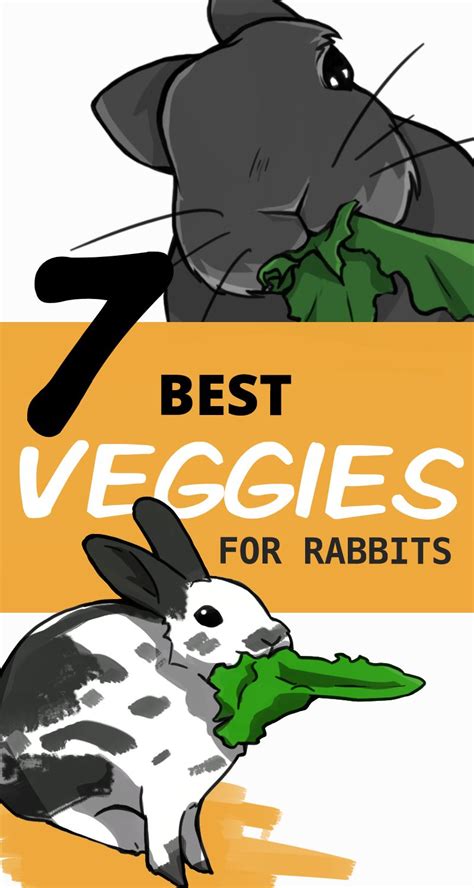 7 Best Vegetables For Your Pet Rabbit In 2022 Pet Bunny Rabbits Pet