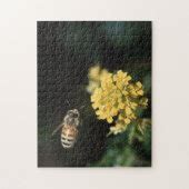 Honey Bee Jigsaw Puzzle Zazzle