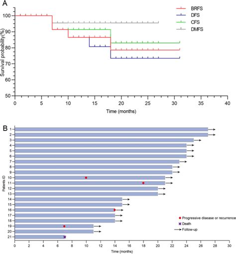 Efficacy And Safety Of Tislelizumab Plus Bacillus Calmette Guérin With