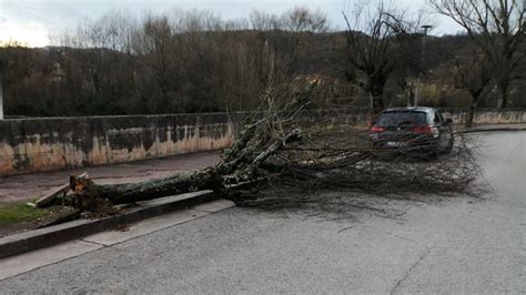 Ultimora Isola Del Liri Lungoliri Pirandello Albero Abbattuto Dal