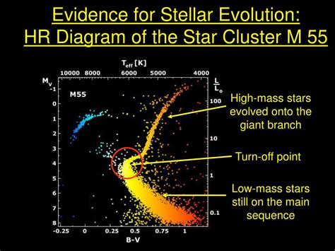 PPT - Stellar Evolution PowerPoint Presentation, free download - ID:3081010