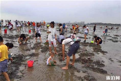 秦皇岛蟹贝湾赶海基地介绍 地址 具体线路旅泊网