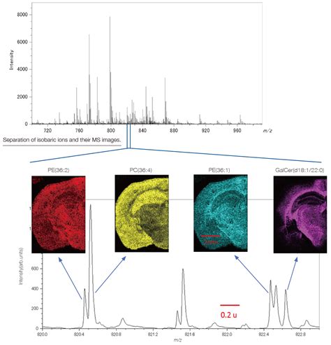 Maldi Jms S Spiraltof Plus Matrix Assisted Laser Desorption