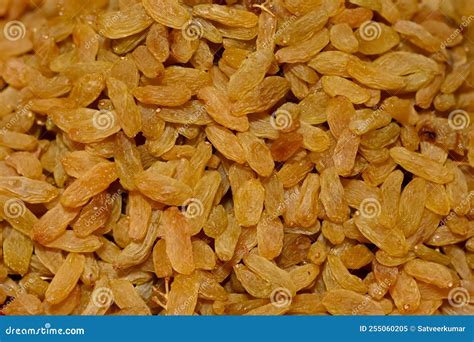 Golden Dried Seedless Grapes Top View Raisins Background Stock Image