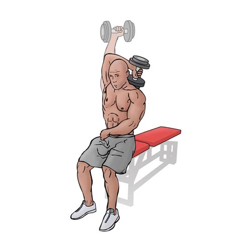 How To Perform Dumbbell Seated One Arm Tricep Extension Focused On Fit