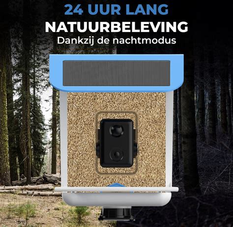 Vogelvoederhuisje Camera En Audio AI Vogelherkenning