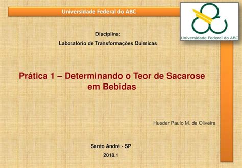 PDF Prática 1 Determinando o Teor de Sacarose em Bebidasprofessor