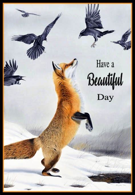 Good Day Good Morning Have A Beautiful Day Happy Day Fox Mornings