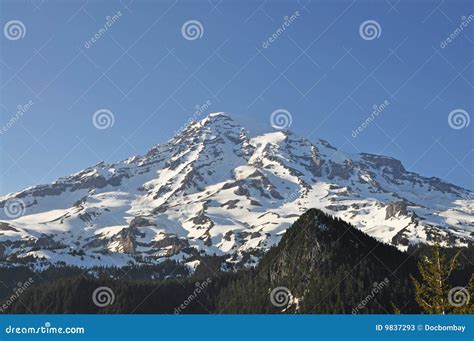 Mount Rainier View stock image. Image of volcano, rainier - 9837293