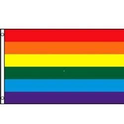 32 LGBTQ Pride Flags Their Meanings Trusted Since 1922