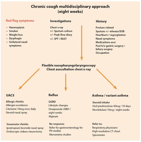 Cough Diagnosis Chart A Visual Reference Of Charts Chart Master