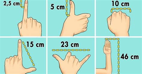 T Cnicas Simples Para Medir Objetos Sin Usar Una Cinta M Trica Ideas