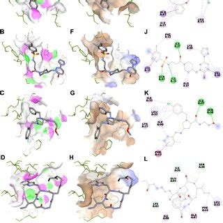 BQA Binding Pose Inside The PDZ Domain And 2D Interactions A