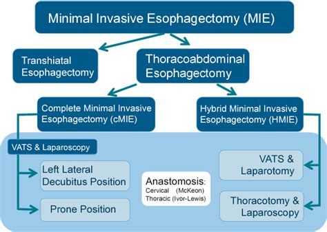 Figure 1 From Minimally Invasive Techniques And Hybrid Operations For Esophageal Cancer