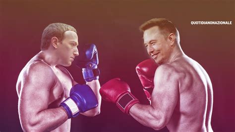 Musk Vs Zuckerberg Linvito Del Patron Di Tesla Ad Affrontarsi Sul Ring E Il Ceo Di Facebook