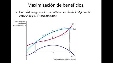 Maximizaci N Ganancias Youtube