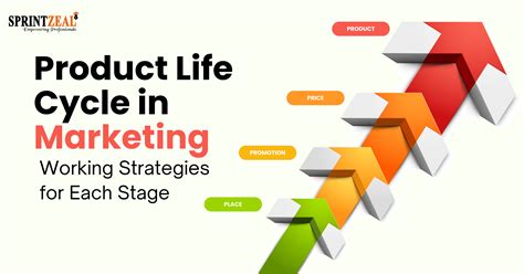 Product Life Cycle In Marketing Essential Strategies