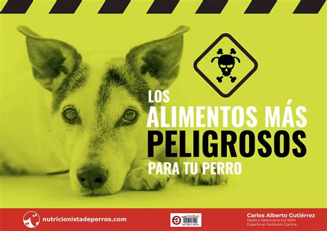 Los Alimentos Más Peligrosos Para Tu Perro Pdf