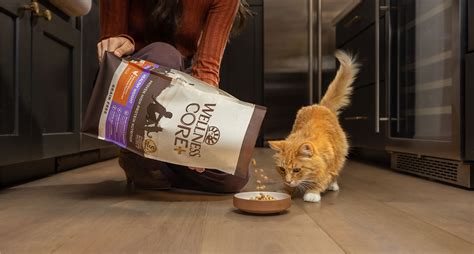 Dry Cat Food | Wellness Pet Food