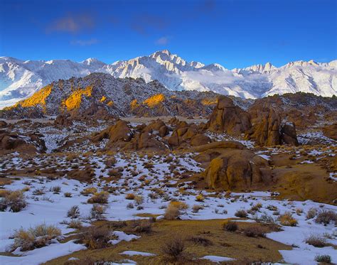 Winter On Whitney Photograph By Paul Breitkreuz Fine Art America