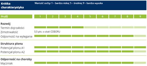 Pszenżyto ozime Tadeus Asortyment MATERIAŁ SIEWNY KWALIFIKOWANY