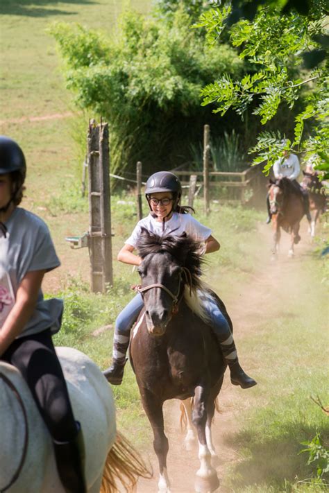 Au Fer Cheval Ferme P Dagogique Et De S Jour Colonie