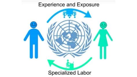 Monitoring And Evaluation For United Nations Internship Program