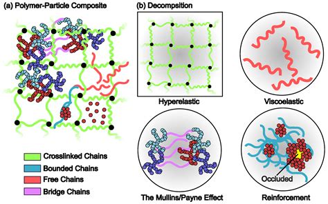 Polymers Free Full Text Filled Elastomers Mechanistic And Physics