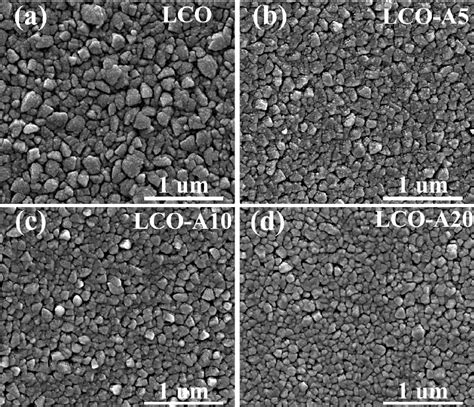 SEM Images Of A LCO B LCO A5 C LCO A10 And D LCO A20