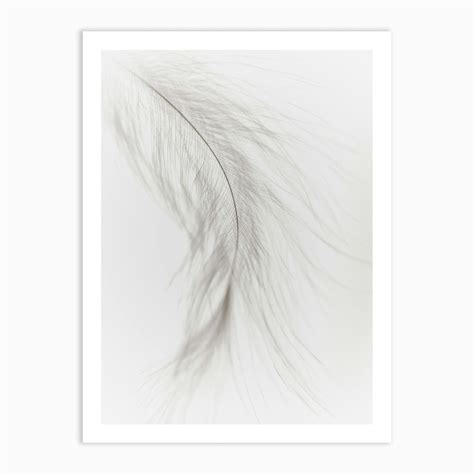 White Feather 3 Art Print by Magda Izzard Studio - Fy