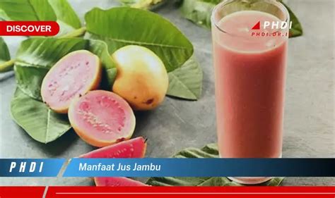 Ketahui 7 Manfaat Jus Jambu Yang Jarang Diketahui Bikin Penasaran