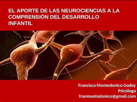 Ppt El Aporte De Las Neurociencias El Aporte De Las Neurociencias A